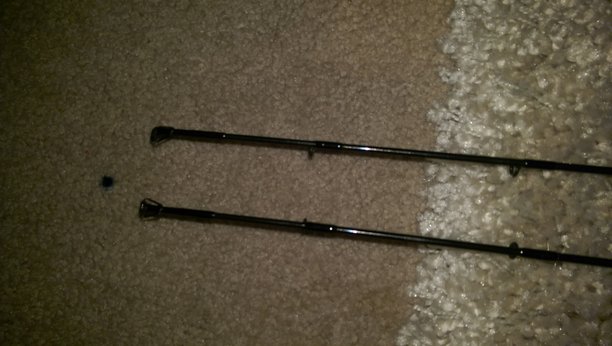 Shimano Clauris 1.jpg