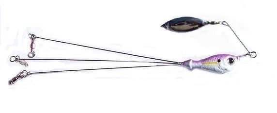 CALIFORNIA RIG SPIN.jpg