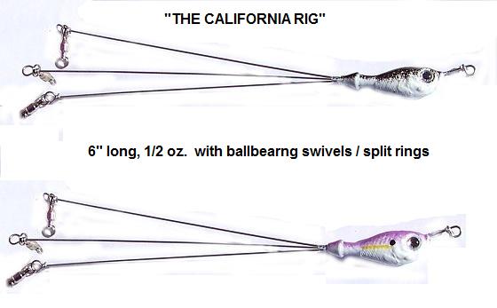 THE CALIFORNIA RIG.jpg