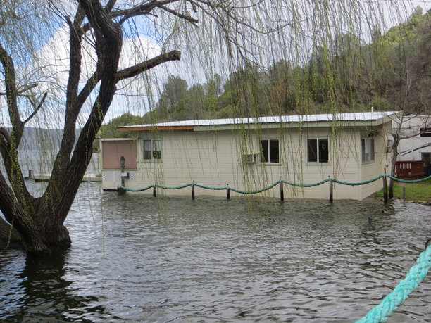 Richman Park Flood of Febuary 2017 019.JPG