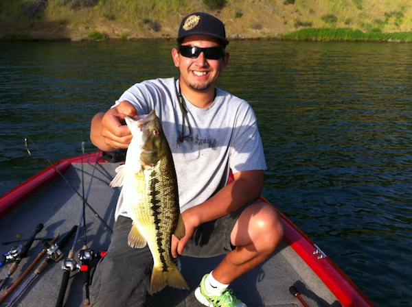 Wakebait fish.jpg