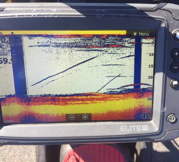 Lowrance Interference Issue.jpg