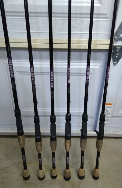 Mojo Bass Casting Rods.jpg