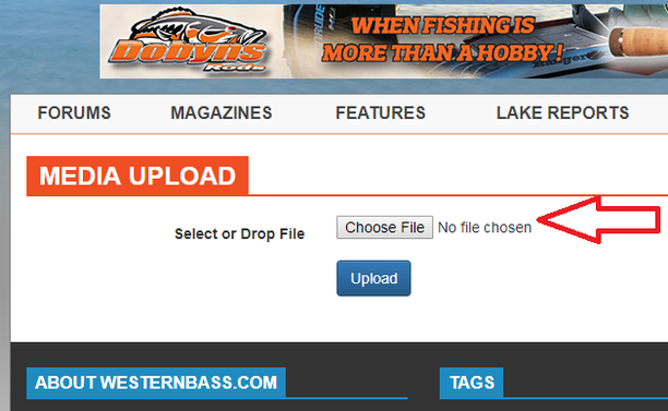 step 2.png