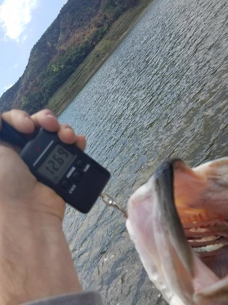 12 Pounder at Lake Casitas Derek Mason.jpg