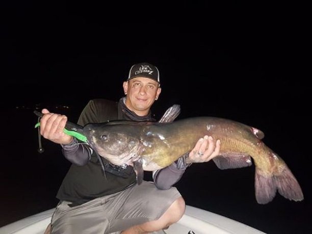 Catfish caught in Lake Havasu could be Arizona state record.jpg