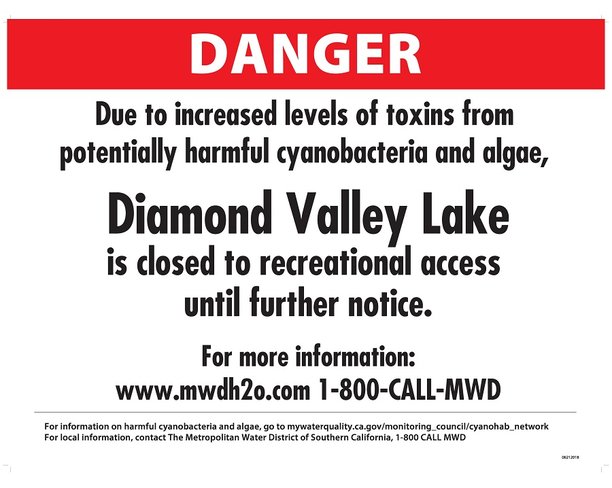 diamond valley lake dvl closed due to algae.jpg