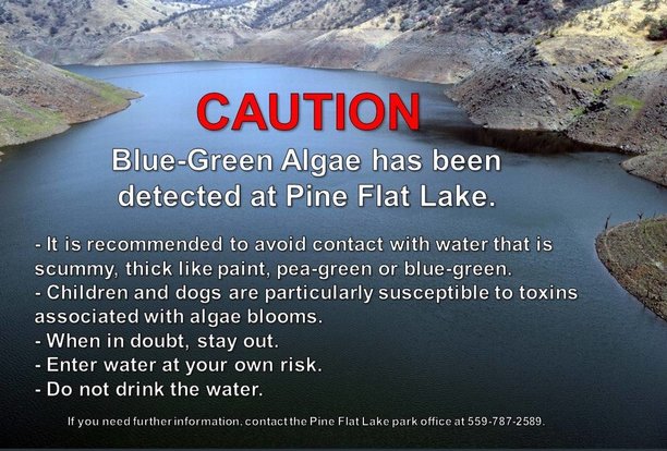 Algae at California lakes poses risk 'Enter water at your own risk.'.jpg