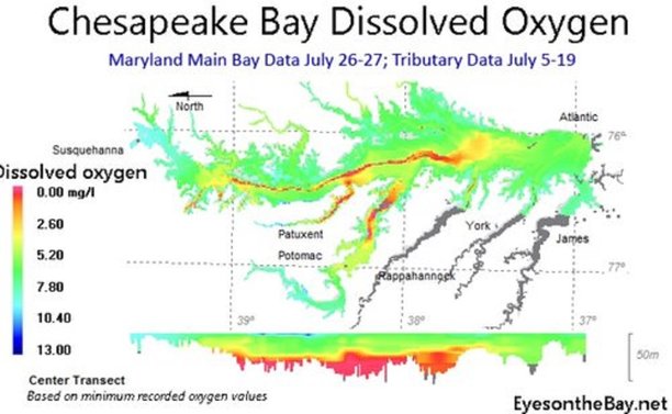 hypoxia+volume+july+2018+best oxygen chesapeake bay.jpg