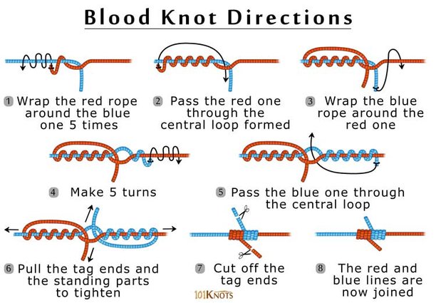 How-to-Tie-a-Blood-Knot.jpg