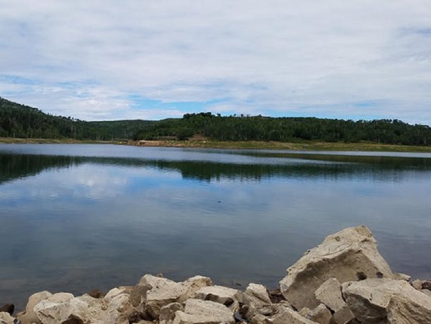 Illegal Stocking at Idaho's Kolob Reservoir Results in Rotenone Treatment.jpg