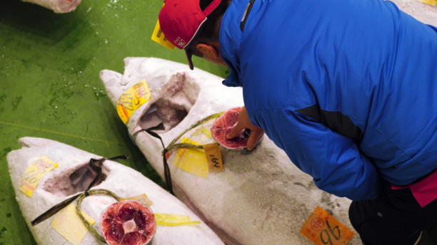 Tuna sold for $3 million in 1st 2019 sale at Tokyo market.png