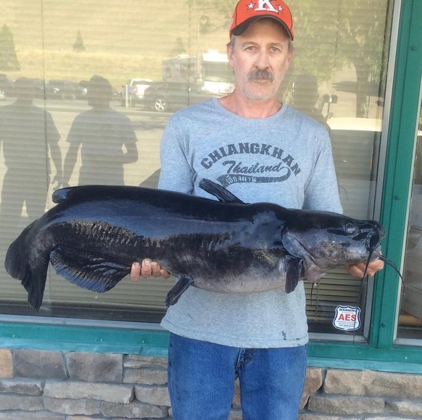 new clear lake record catfish.jpg