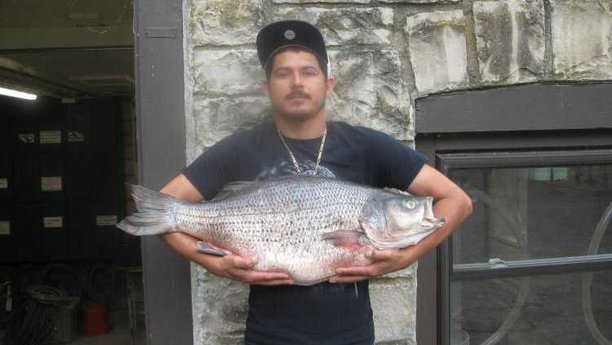 32-year record broken with 21-pound, 11-ounce striped bass.jpg