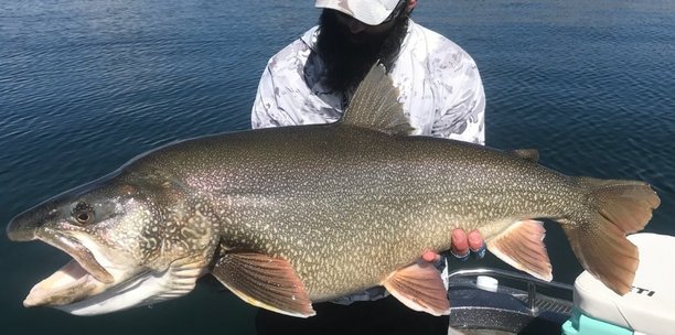 record trout caught.jpg