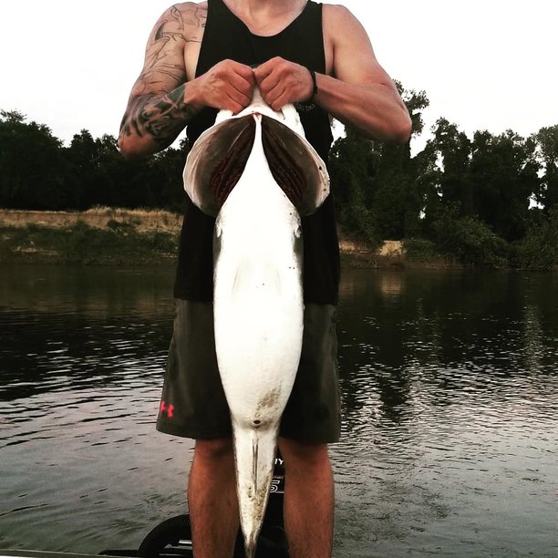 45lb fish2.jpg