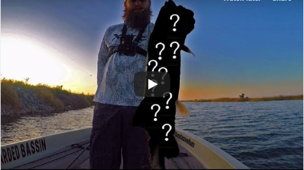 delta video multi species fishing day.png