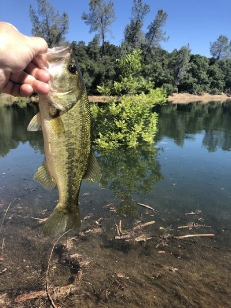 Bank Fishing Oroville.jpg