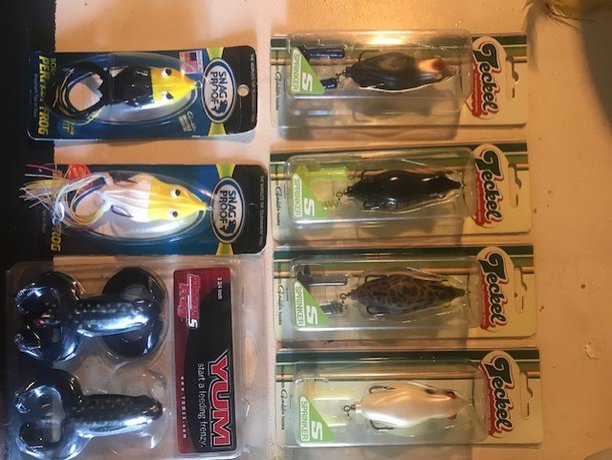 misc frogs package.jpg
