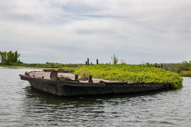 law to remove abandoned vessels at california delta (1).jpg