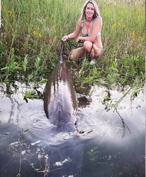 woman caught 330 pound sturgeon.jpg