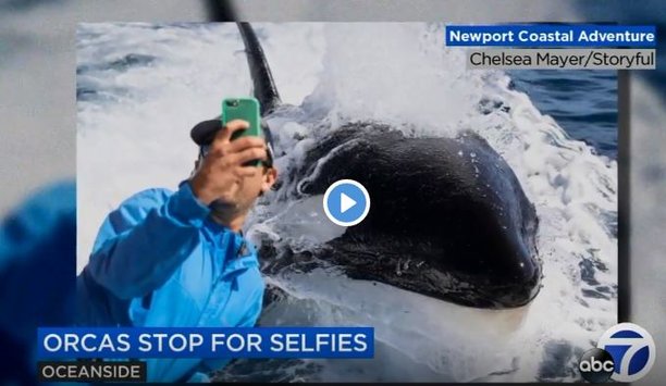 orca take pictures.JPG