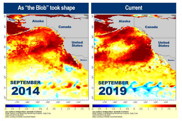 West Coast Marine Heatwave Emerging.png