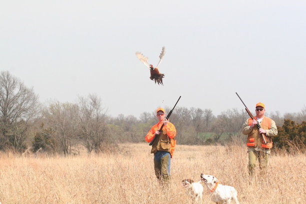 Guides and dogs are included with this hunt