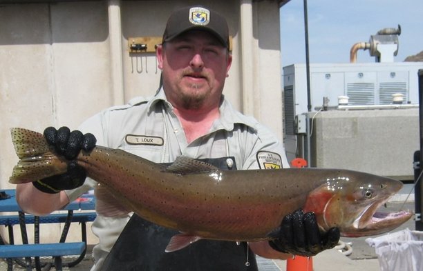 Hundreds watch historic fish release at Lake Tahoe.jpg