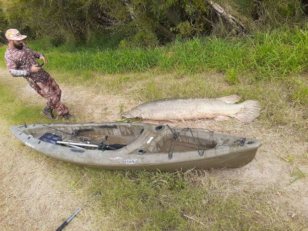 kayak-fisherman-nearly-toppled-by-200-pound-alligator-gar.jpg