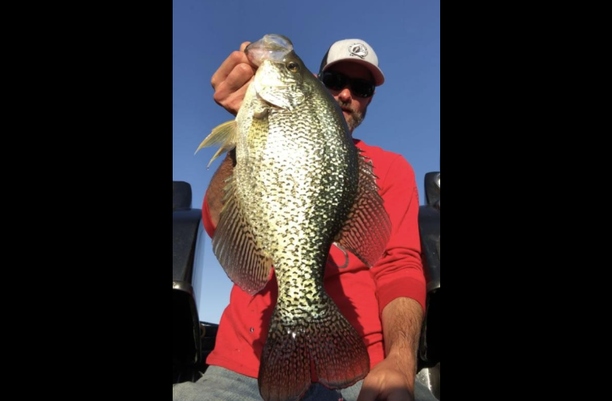 josh parris crappie record.png