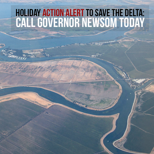 Holiday ACTION ALERT to Save the Delta!.png