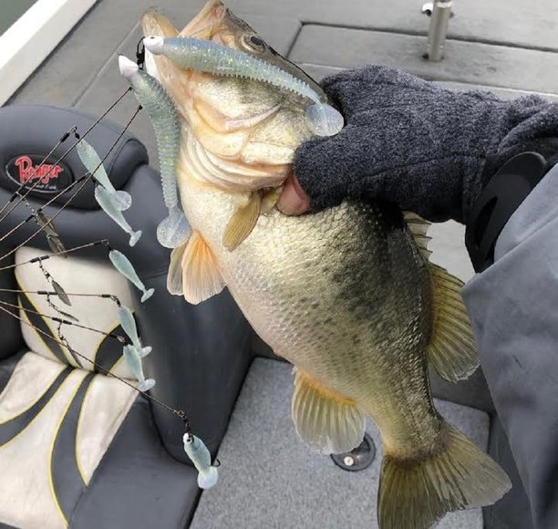 clear lake gishing report.jpg