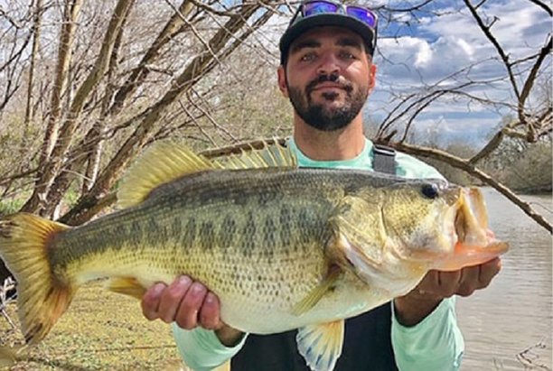 Pb on a chartreuse and blue crankbait.jpg