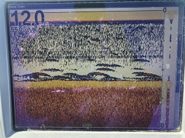 clear lake lowrance graph.jpg