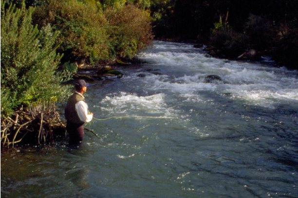 covid fishing restrictions california.png