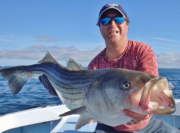 Female Spawning Stock of Atlantic Stripers in Trouble.jpg