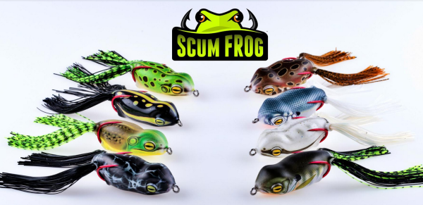 ScumFrogGallery.png