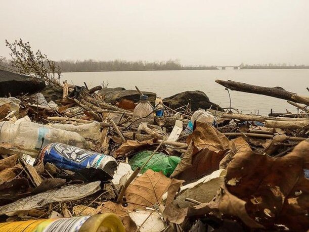 in the stomach of smallmouth.jpg