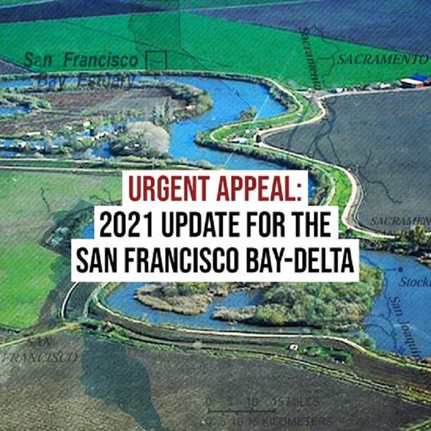 Urgent Appeal from Restore the Delta.jpg
