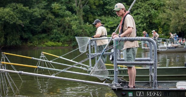 DWR Electrofishing FAQ.jpg