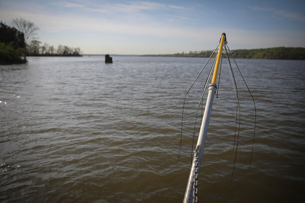 Electrofishing1.jpg