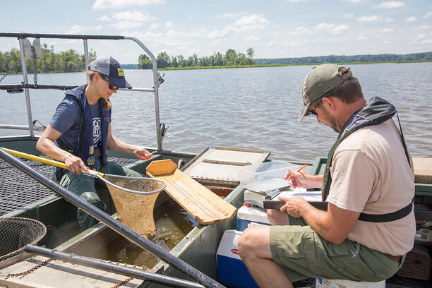 Electrofishing2.jpg