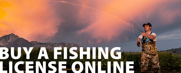 Buy-a-Fishing-License.jpg