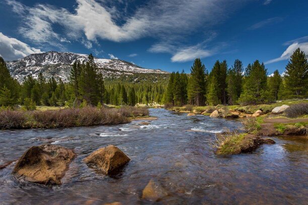 A drop in salmon in salmon in the Tuolumne River in 2020 is cause for concern.jpg