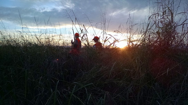 Electroinic fishing regulations coming in California.png