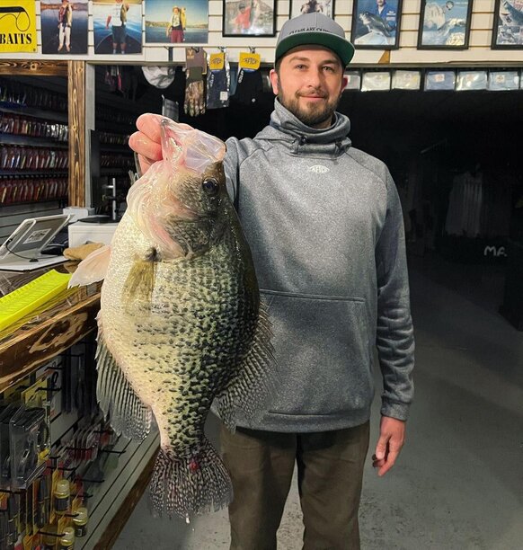 California has a new state record black crappie. David Burruss of Lakeport.jpg (241.28 KiB) Viewed 3802 times California has a new state record black crappie. David Burruss of Lakeport.jpg