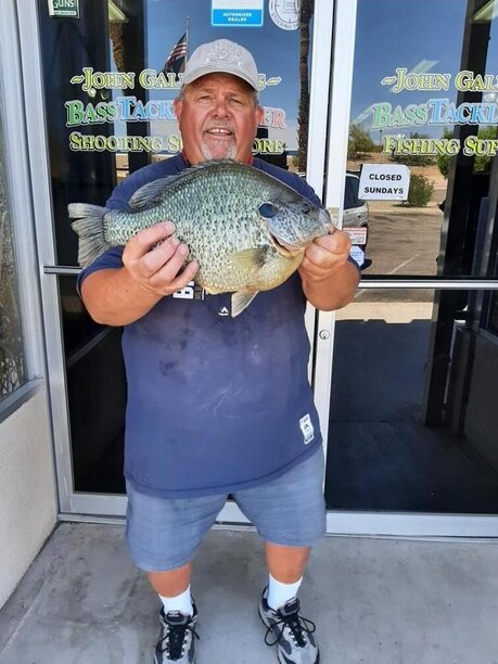 Pending World Record Sunfish caught at Havasu.jpg