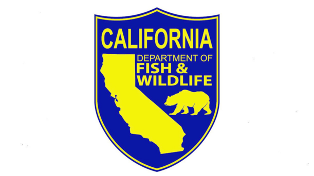 Newsom's California Comeback Plan for Fish and Wildlife.png