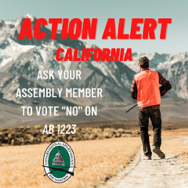 Action Alert for California Proposed Tax.png